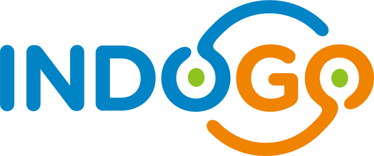 Indogo Autopilot Business Consultant